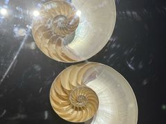 -青岛贝壳博物馆