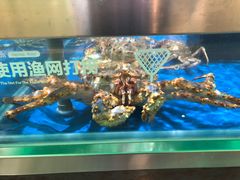 -盒马鲜生(红莲店)