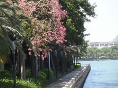 -白鹭洲公园