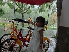 -合肥滨湖国家森林公园