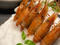 -桂满陇·海市蜃楼·黑金(国金店)