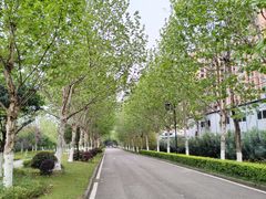 -大渡口区义渡公园