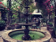 -The Grounds of Alexandria