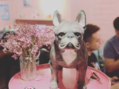 -百好乐宠物友好餐厅(朝外大街店)