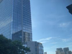 -上海首尔丽格医疗美容医院