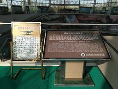 -诸城市恐龙博物馆
