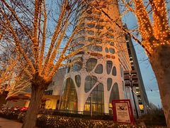 -北京康莱德酒店