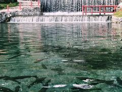 -丽江玉水寨