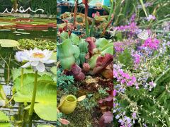 -国家植物园南园