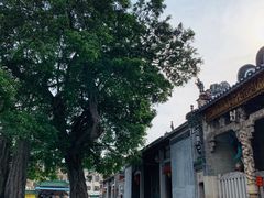 -悦城龙母祖庙