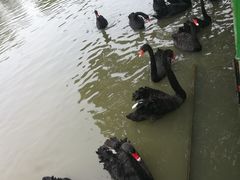 -长兴太湖图影湿地文化园