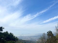 -惠山国家森林公园