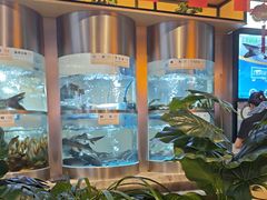 -老船舫·现做活鲜鱼馆(东郊记忆店)