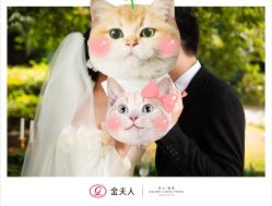-金夫人婚纱摄影(总店)