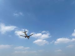 -空港花田景区
