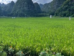 -万峰林风景区