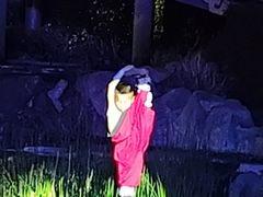 -禅宗少林·音乐大典