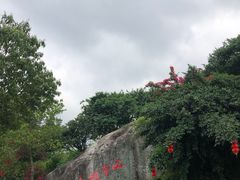 -广东天露山旅游度假区