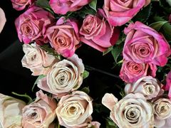 -桂林市花鸟市场