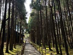 -玉苍山国家森林公园