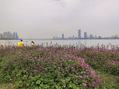 -南昌之星游乐场