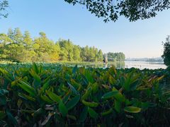 -东湖落雁景区