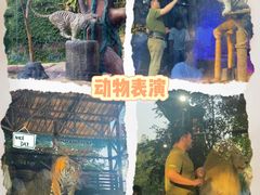 -清迈夜间动物园