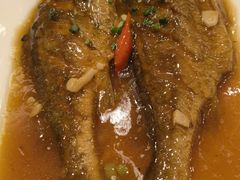 -松花湖水饺(新濠天地店)