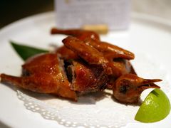 金牌乳鸽皇-大树餐厅(益田假日店)