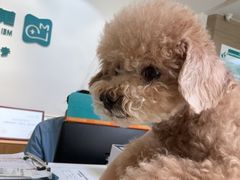 -美联众合动物医院·24h转诊中心