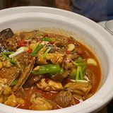 吃甲鱼咯