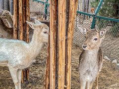 -济南野生动物世界