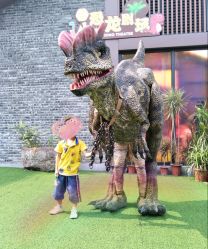 -恐龙探索乐园(磁器口店)