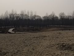 -东郊湿地公园