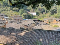 -杨家堂村