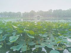 -长春市南湖公园