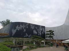 -罗红摄影艺术馆