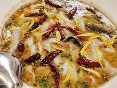 老坛酸菜鲈鱼-渔语鱼新川菜Bistro(万象天地店)