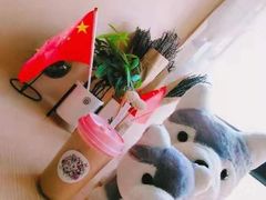 -Husky Go! 哈士奇体验馆·宠物咖啡厅狗咖