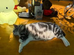 -咖法森林·咖啡  酒吧(天河店)