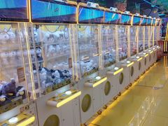 -风云再起游乐汇(北京西单西西友谊店)