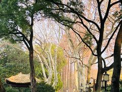 -上海醉白池公园