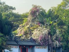 -深圳国际园林花卉博览园