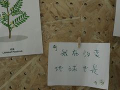 -阿里中心·杭州Z空间