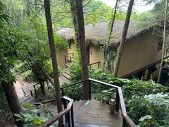 -杭州开元森泊度假乐园