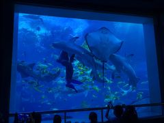 -太平洋海底世界