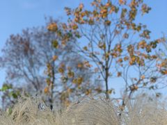 -同济大学(嘉定校区)