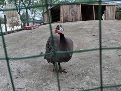 -宁波九龙湖开元度假村