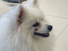 -怪兽屋·羊驼·猫咖·狗咖(俊华广场店)