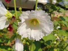 -碓臼峪自然风景区